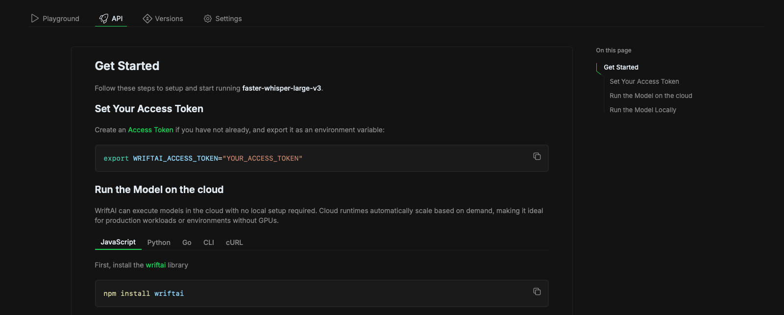 Model API Page Screenshot